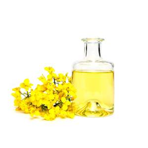 Hot selling refined canola cooking <b>oil</b> <b>for</b> food manufacturers commercial <b>kitchens</b> and household use fast delivery - Product Image 3
