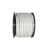 Lámpara decorativa de 8W, tira de luces LED con cambio de Color RGB