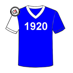 Zeta Phi Beta Soror High Quality <b>Women's</b> Clothing Wholesale <b>Women's</b> <b>Shirts</b> Short Sleeve Fashion Unisex <b>V</b> <b>Neck</b> <b>Women</b> <b>T</b> <b>Shirts</b> - Product Image 6