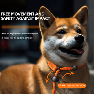 Correas de Nailon para Entrenamiento de Mascotas, Cadena LED, Collares Dobles Todo en Uno, Correa de Cuero para Perros con Manos Libres y Mango Suave - Product Image 3