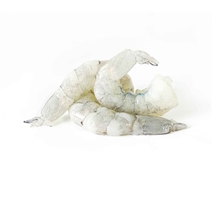 Proveedor Mayorista de Camarones Vannamei PUD Congelados, Pelados y Sin Vena - Product Image 5