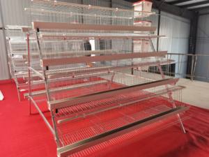 Equipo de granja avícola Jaula de capa de pollo Sistema de recolección de huevos automático Jaula para la venta - Product Image 5