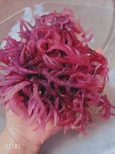 Algues marines Eucheuma Cottonii (Nori) de haute qualité d'Akina - Meilleure qualité, sans sel, fraîches, séchées à l'air, sac en vrac disponible, prix compétitif - Product Image 2