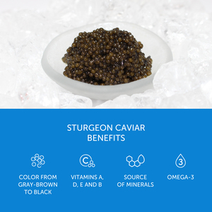 Caviar de sturgeon sibérien, 50 g, Vente en gros auprès du fabricant - Product Image 4