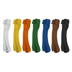 เข็มขัดเย็บปักลายเทควันโดคาราเต้ยูโดบราซิลเลียนจียูยิตสู BJJ โลโก้ตามสั่ง - Product Image 2