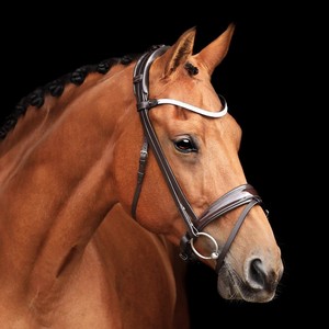 Haute qualité nouvelle bride de cheval multicolore en cuir véritable Snaffle en pleine taille en gros équipement de cheval noir - Product Image 5