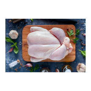 Viande de poulet congelée entière de volaille fraîche de qualité supérieure la plus vendue à bas prix - Product Image 6