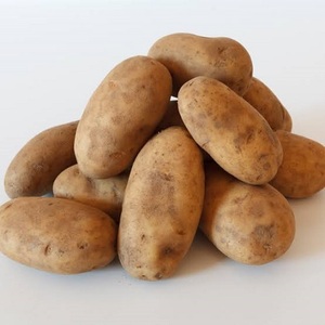 Patatas Frescas Disponibles en Empaque a Granel de 25 kg, Forma Redonda, Origen Yala, para Venta al por Mayor y al por Menor - Product Image 1