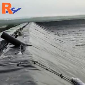 भू-मम्ब्रिन के आपूर्तिकर्ताओं ने जियोमेम्ब्रिन को मेक्सिकन जिमम्ब्रिना पेसिकुटुरा गुटेमाला का निर्माण किया - Product Image 2