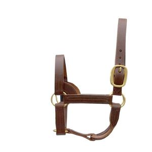 Les licous d'étalon en cuir sont notre licou le plus fort disponible et est fabriqué à partir d'une large qualité complète - Product Image 1