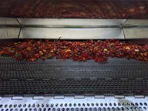 Trái cây các loại hạt rau Paprika Ớt đỏ sấy khô dehydrator tiếp tục lò máy - Product Image 3