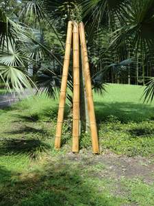 Matériaux Poteau en bambou d'usine du Vietnam de haute qualité avec la taille adaptée aux besoins du client pour les produits matériels en bambou d'approvisionnement agricole - Product Image 2