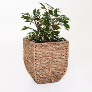 Jardinière écologique à prix avantageux, décoration végétale à bas prix, panier porte-plantes, jardinières en jacinthe d'eau - Product Image 1