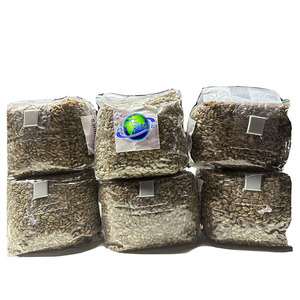 Logo personnalisé Compost en plastique à grains épais stérilisé Huître Champignon Spawn Sac de culture Substrat Culture Filtre Sacs de culture - Product Image 1