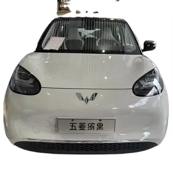 広い範囲広々としたトランクスペース満足のいくインテリア素材Wuling Bingguo 203kmコンフォートエディションミニ電気自動車在庫あり