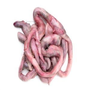 Comprar pulmones de ternera congelados Halal en línea - Product Image 4