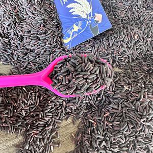 Riz noir vietnamien de qualité supérieure en vrac en gros Meilleur prix Riz Noir biologique Vietnam Bio pour Santé, Cuisine, Export / ANNA DO