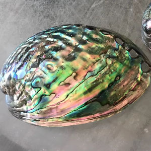 Vietnam Exporter Abalone Shell Wholesale Polished Abalone Shell for <b>Jewelry</b> Creations Ocean <b>Inspired</b> Decoration and Gift Supply - Product Image 1