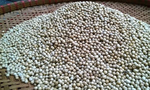 PIMIENTA BLANCA ORGÁNICA Precio competitivo Embalaje 1 Kg para cocinar - Product Image 6