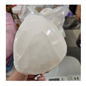 Noix de coco congelée en vrac pelée et tranchée Noix de coco congelée du Vietnam pour les fabricants d'aliments et les exportations - Product Image 6