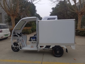 Grande energia triciclo elettrico <span class=keywords><strong>E</strong></span> Rickshaw triciclo merci altri tricicli per merci refrigerate