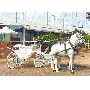 Buggy de caballos blancos de boda inglesa, fabricante de coches de caballos Victoria, buggy australiano Victoria Horse Drawn, EE. UU., Reino Unido, Australia - Product Image 4