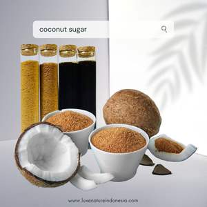 Azúcar de Coco Orgánico Premium en Polvo, Paquete de 1 kg, Venta al por Mayor desde Indonesia - Product Image 4
