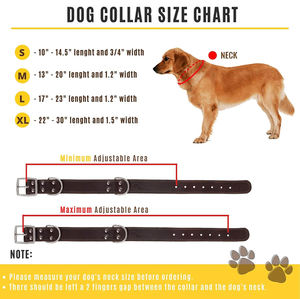 Collares de perro de cuero marrón Premium Durable Ajustable Hebilla de metal acolchada suave Tamaños para razas pequeñas a grandes - Product Image 5