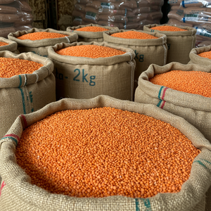 Premium Red <b>Lentils</b> Available In Bulk Red <b>Lentils</b> Offered At Factory Price For Wholesale Supply In Large Quantity - Product Image 2