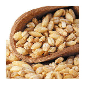 Grano de cebada al por mayor disponible en bolsas a granel y contenedores - Product Image 2