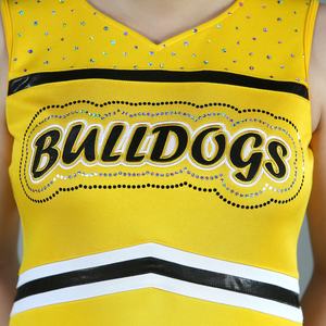 ชุดเชียร์ลีดเดอร์แขนสั้นแบบกำหนดเอง ดีไซน์ใหม่ 100% โพลีเอสเตอร์ ชุดสำหรับเด็กและผู้ใหญ่ ขายส่งชุดเชียร์ลีดเดอร์ ประดับคริสตัลแบบกำหนดเอง - Product Image 6