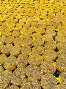 Origine du Vietnam Cannelle séchée Cassia Prix de saison bon marché - Product Image 4