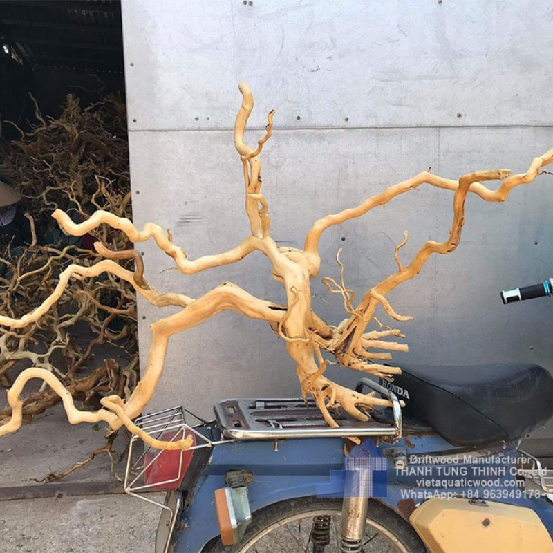 ธรรมชาติ