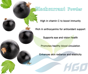 Suministro directo de fábrica de HGO de Polvo puro de grosella negra natural (grado alimenticio) Polvo de fruta (polvo de fruta o verdura) - Product Image 5