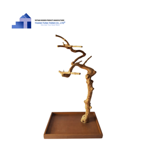Hot Items 2025 Sustainable Java Wood (Coffee Wood) Tree Bird Perch for <b>Parrot</b> Play Stand for Wholesales - Product Image 1