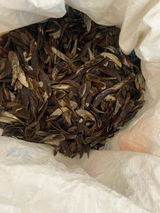 MEILLEUR PRIX Lotus Bleu 2025 Murex Sea Shell Operculum Source Marine Écologique Largement Appliquée En Herbes Et Alternative - Product Image 5