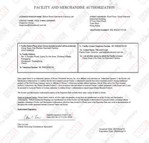 DisneyAuthorized FAMA <b>Certificated</b> DTG Custom Printing Heavy Weight 180 240 300 Gsm Tshirt Cotton Tshirts with Custom Label - Product Image 6