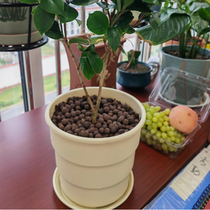 Macetas de Pared Interiores de PP Simple y Grueso de Pavico Vietnam, Macetero Vintage Ecológico, Diseño Minimalista Reciclable - Product Image 5