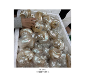 Proveedor de Vietnam, servilleteros elegantes con conchas marinas, decoración de mesa de estilo playero para bodas y eventos - Product Image 5