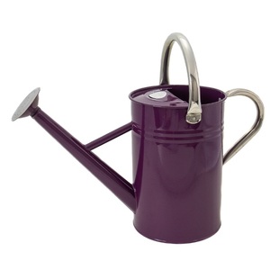 Home Garden Decoration <b>Water</b> Supplies Equipment Watering Cane With Handcrafted Design Eco Friendly Metal <b>Water</b> Cane - Product Image 5