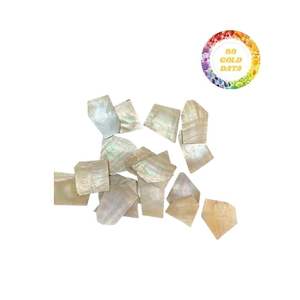 Coquillages en nacre blanche naturelle provenant du Vietnam Idéal pour les boutons d'incrustation de meubles et la production artisanale de bijoux - Product Image 3