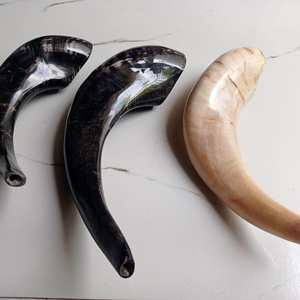 Tasse à boire Artisanat Maison Tasse à buffle Bol à raser en corne Bols à savon à raser Tasse à boire Tasse à boire Fabriqué en Inde - Product Image 5