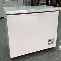 Congélateur horizontal de haute qualité 200L pour viande et poisson, mini congélateur coffre à refroidissement direct pour la maison