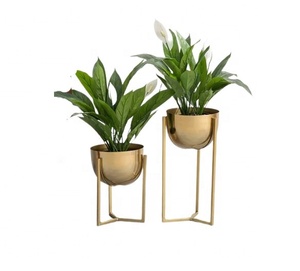 Jardinières pivotantes dorées personnalisables pour décoration intérieure et extérieure pour ferme balcon jardin pépinière maison avec fonction de pot de fleur - Product Image 1