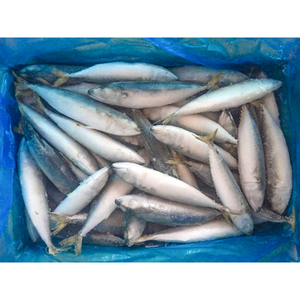 Hot Bán Thái Bình Dương Cá Thu Toàn Bộ Vòng Đông Lạnh Hải Sản Cá Thu Với Giá Rẻ Nhất Giá - Product Image 3