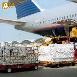 ทุเรียนสดพรีเมียมจากไทย รสชาติครีมมี่เข้มข้น พร้อมรับประทาน สัมผัสประสบการณ์แปลกใหม่ คุณภาพเกรดเคย์ ต้าลดาไทย พร้อมส่ง - Product Image 2