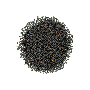 เมล็ดคาโนลาแท้และปลอดสารเคมี - Product Image 1