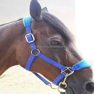 Atest llegada 2023 Equestrian ororse ccccessories holholesale eSign our wn ororse Ding iding uull ajustable 100% Nylon Horse Halter - Product Image 5