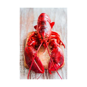 หางกุ้งล็อบสเตอร์แบบสดๆ - Product Image 5