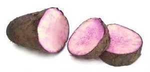 VIETNAM FRESH YAM MORADO NATURAL ALTA CALIDAD PRECIO COMPETITIVO - Product Image 5
